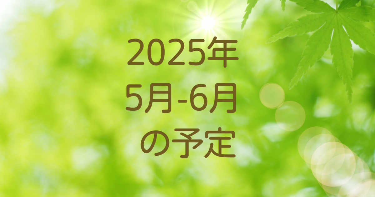 2025年5月-6月予定