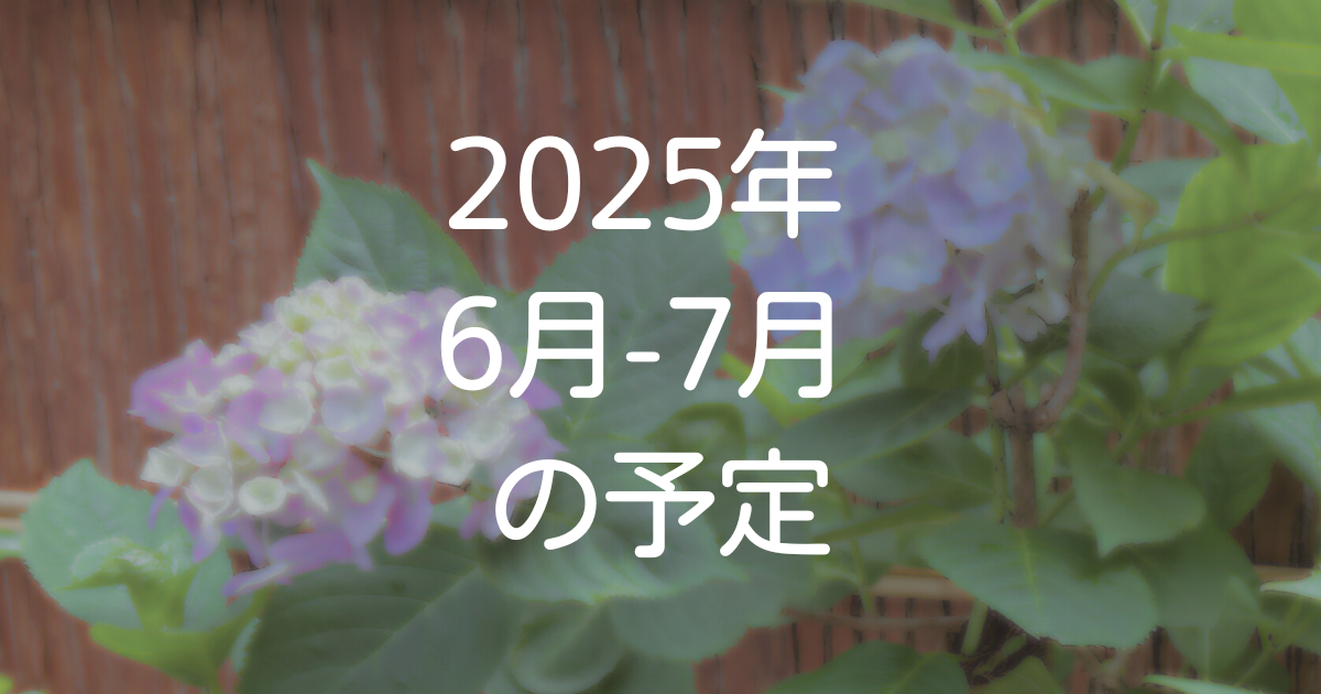 2025年6月-7月予定
