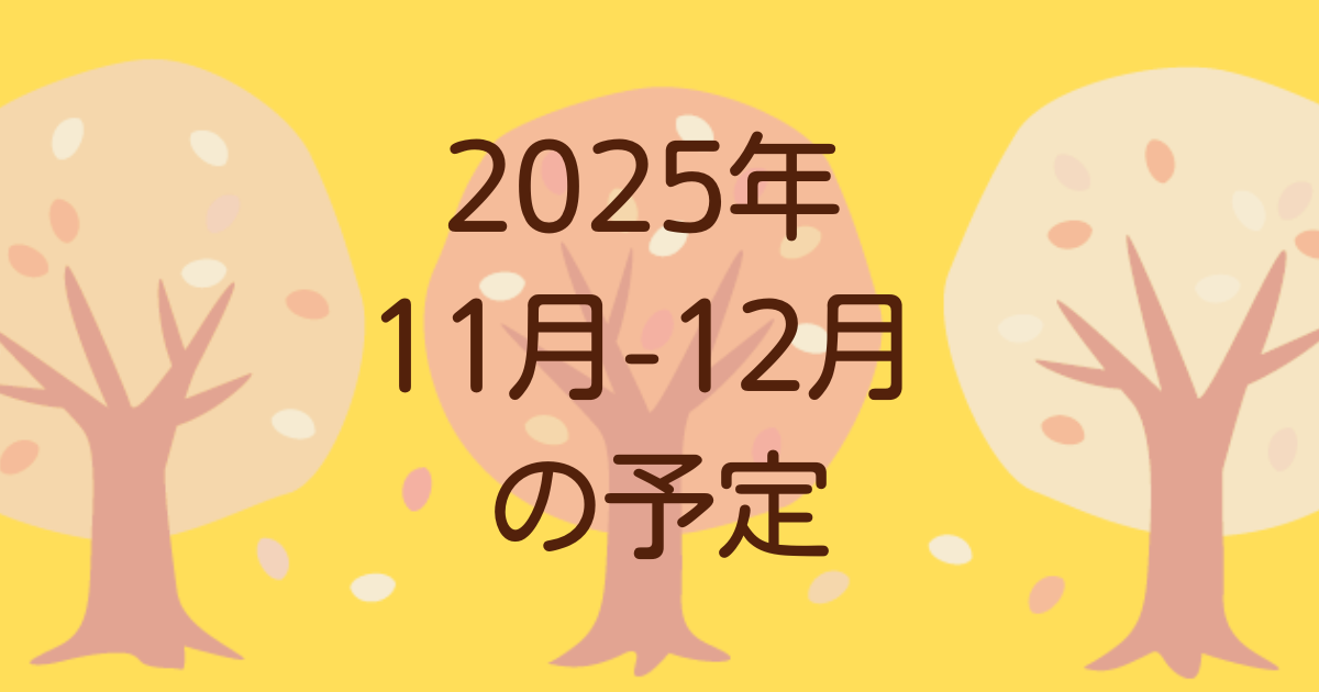 2025年11月-12月予定