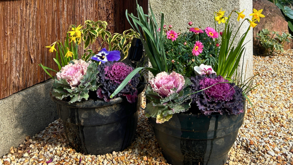 参道入口20251231